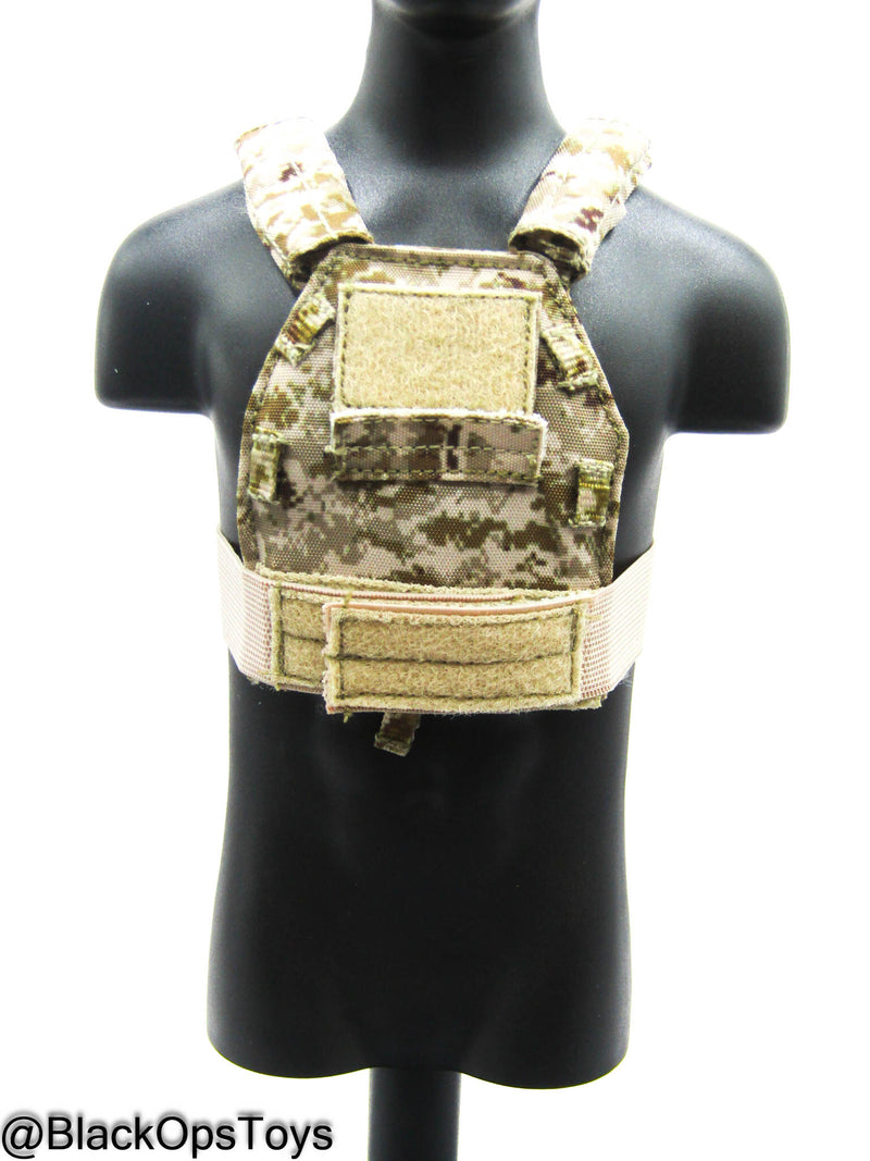 Load image into Gallery viewer, DEVGRU ONS GERONIMO - AOR1 1961G Chest Rig &amp; Slick Plate Carrier
