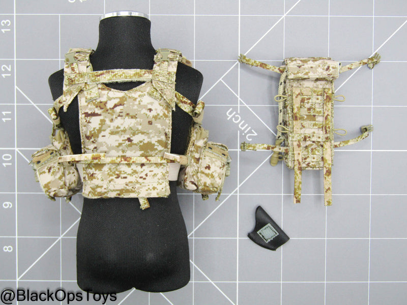 Load image into Gallery viewer, DEVGRU ONS GERONIMO - AOR1 1961G Chest Rig &amp; Slick Plate Carrier
