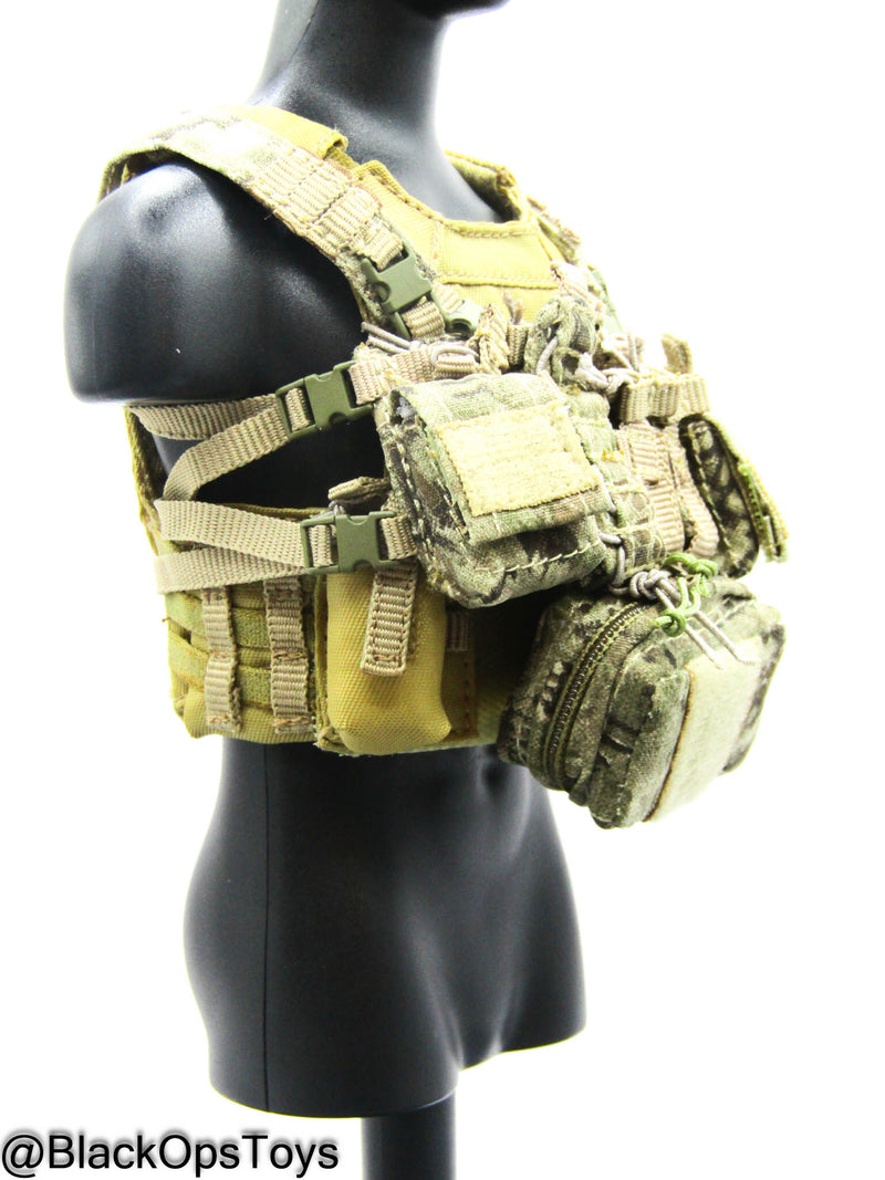 Load image into Gallery viewer, Marine Raiders - Low Vis MBAV Body Armor &amp; Chest Rig
