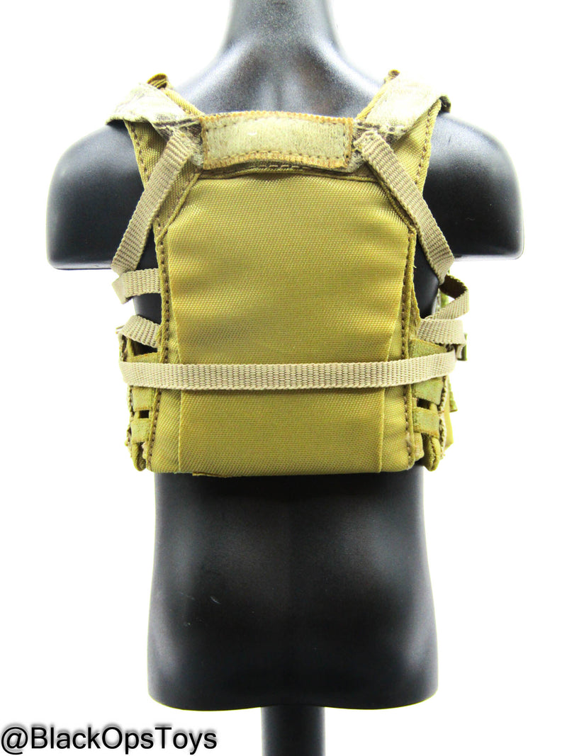 Load image into Gallery viewer, Marine Raiders - Low Vis MBAV Body Armor &amp; Chest Rig
