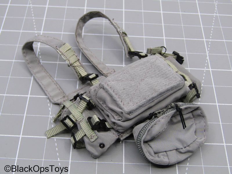 Load image into Gallery viewer, Grey Recon Low Profile Chest Rig
