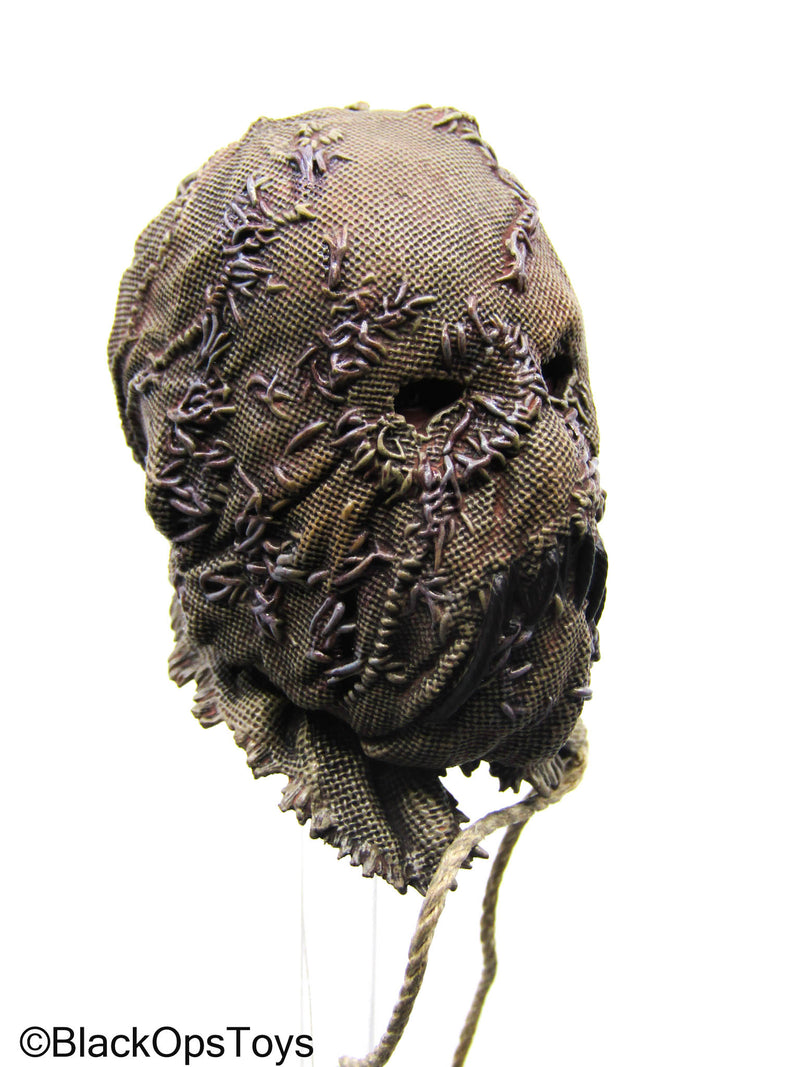 Load image into Gallery viewer, Batman - Scarecrow Headsculpt w/PERS (Hot Toys)
