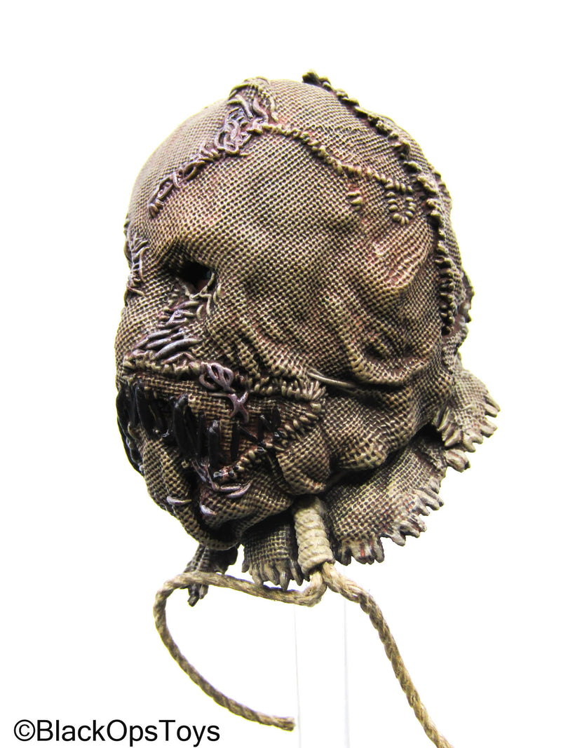 Load image into Gallery viewer, Batman - Scarecrow Headsculpt w/PERS (Hot Toys)
