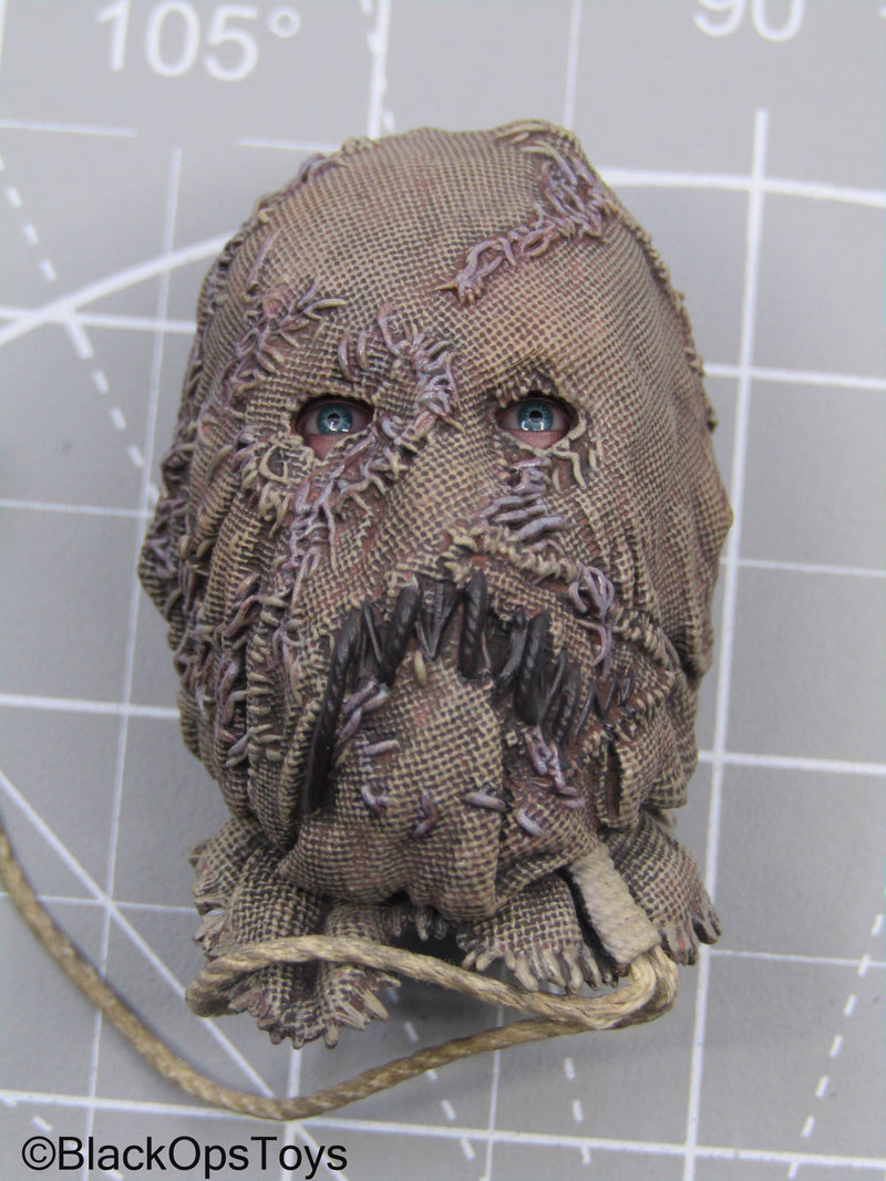 Load image into Gallery viewer, Batman - Scarecrow Headsculpt w/PERS (Hot Toys)

