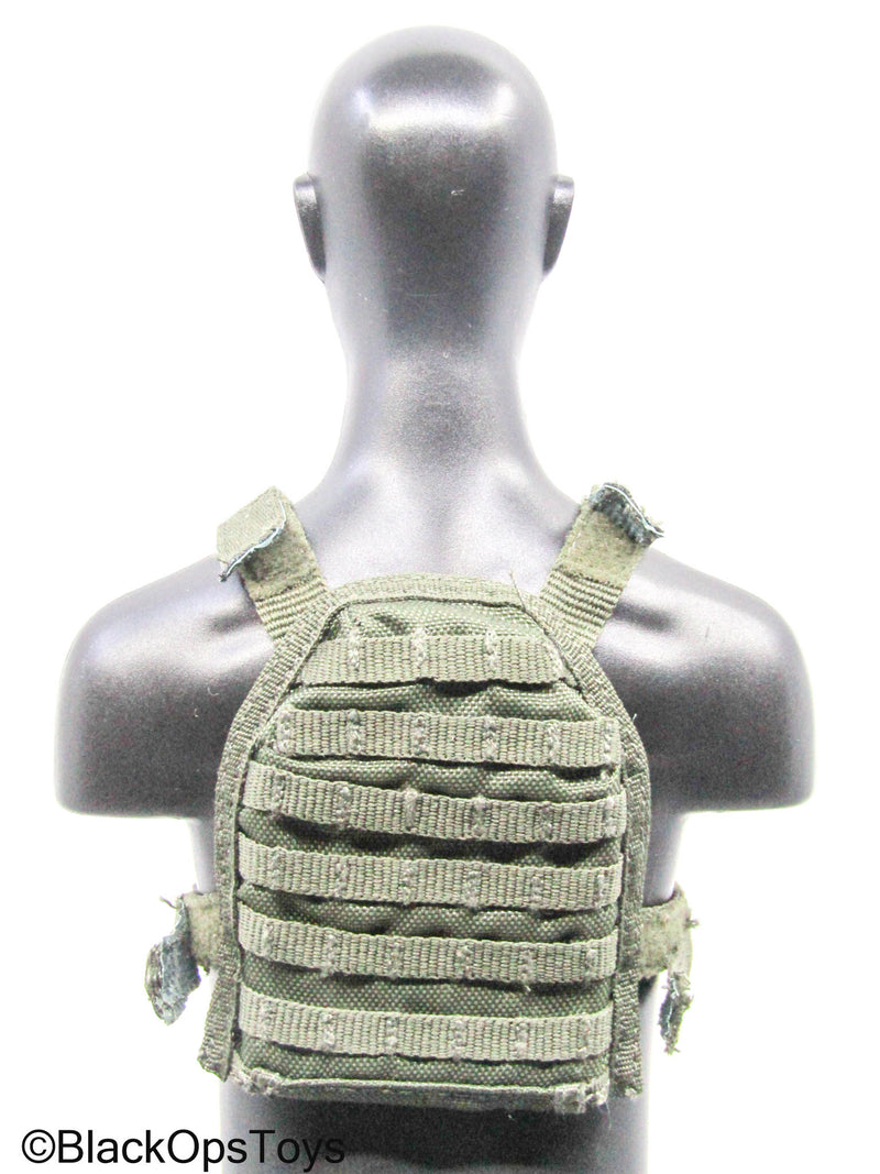 Load image into Gallery viewer, OD Green PMC Plate Carrier w/5.56 Mag Lot (Playhouse)
