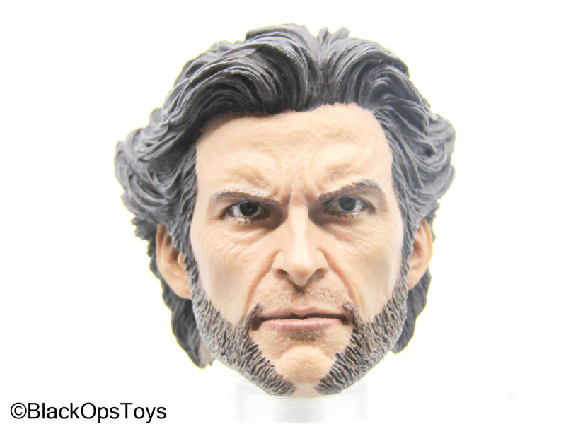 Load image into Gallery viewer, Wolverine - Male Headsculpt
