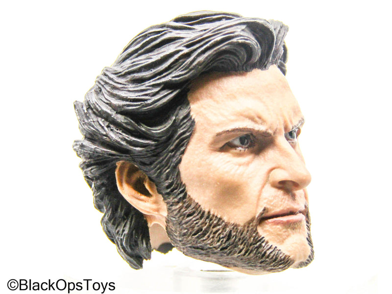 Load image into Gallery viewer, Wolverine - Male Headsculpt
