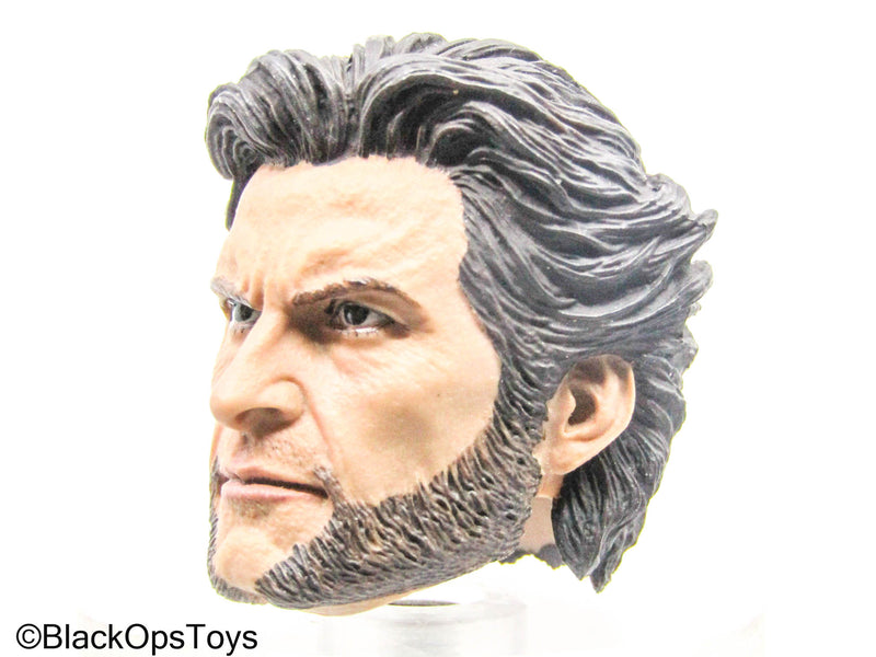 Load image into Gallery viewer, Wolverine - Male Headsculpt
