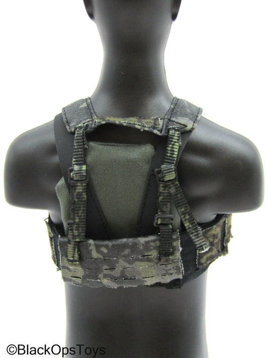 Veteran Tactical Instructor Z - Body Armor w/Black Multicam Chest Rig Set