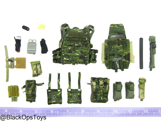 SDU Assault Team - MOLLE Plate Carrier Set