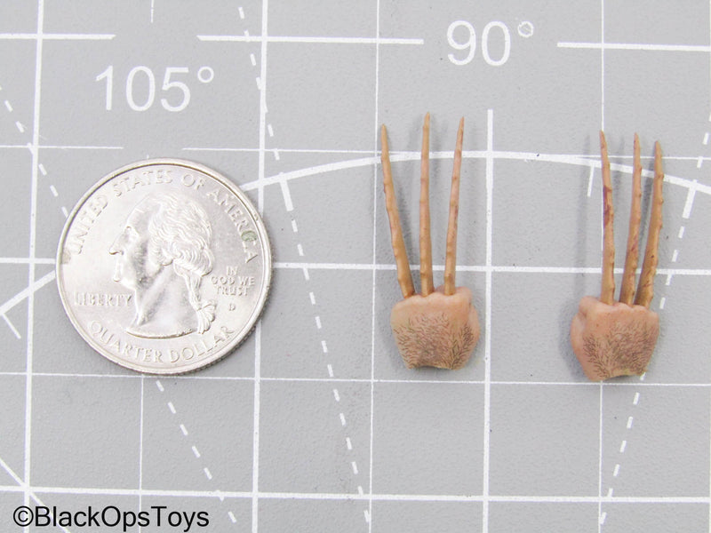 Load image into Gallery viewer, 1/12 Wolverine Hand Set w/Bone Claws
