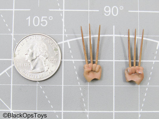 1/12 Wolverine Hand Set w/Bone Claws