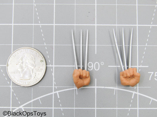 1/12 Wolverine Hand Set w/Claws