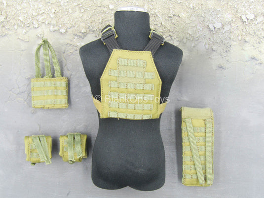 SMU - USA Exclusive Operator - OD Green Plate Carrier & Pouch Set