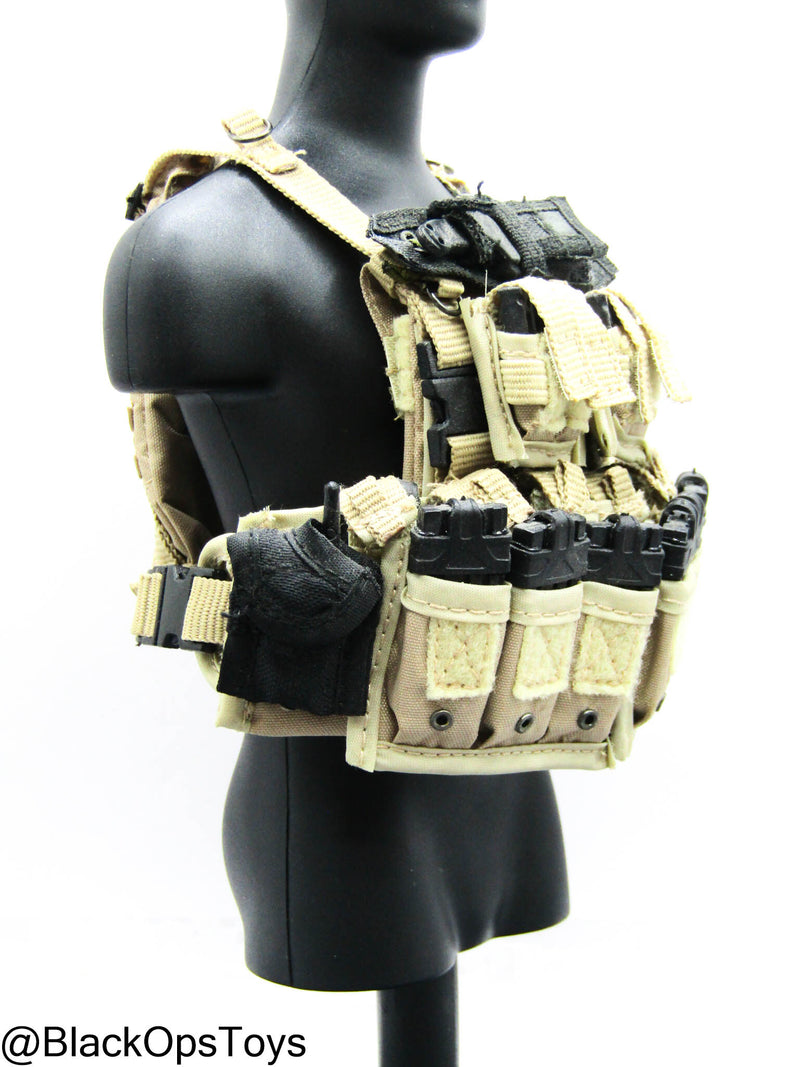 Load image into Gallery viewer, Custom Pro Built - Plate Carrier w/Magazines &amp; Gear Set (ACE)
