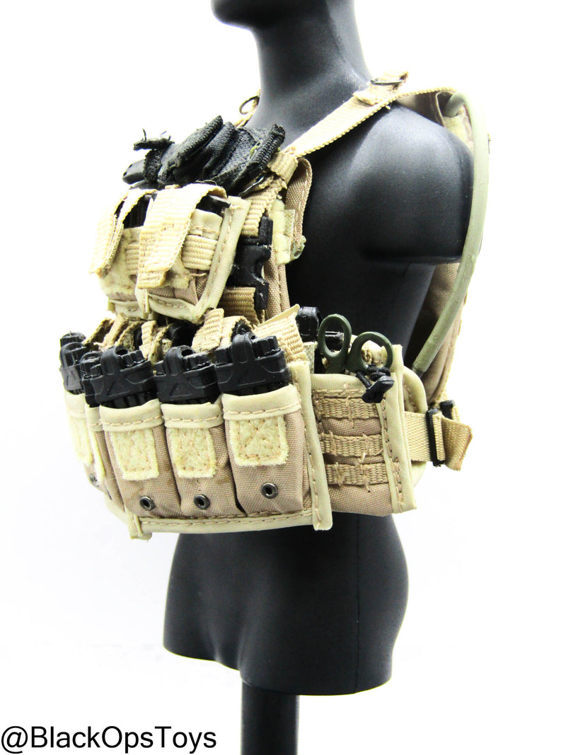 Load image into Gallery viewer, Custom Pro Built - Plate Carrier w/Magazines &amp; Gear Set (ACE)
