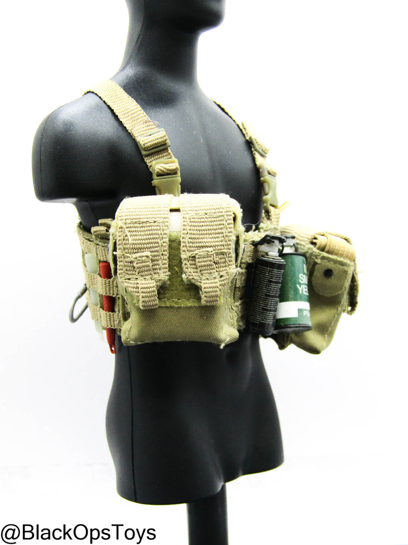 Load image into Gallery viewer, Custom Pro Built - Tan Chest Rig w/Gear Set

