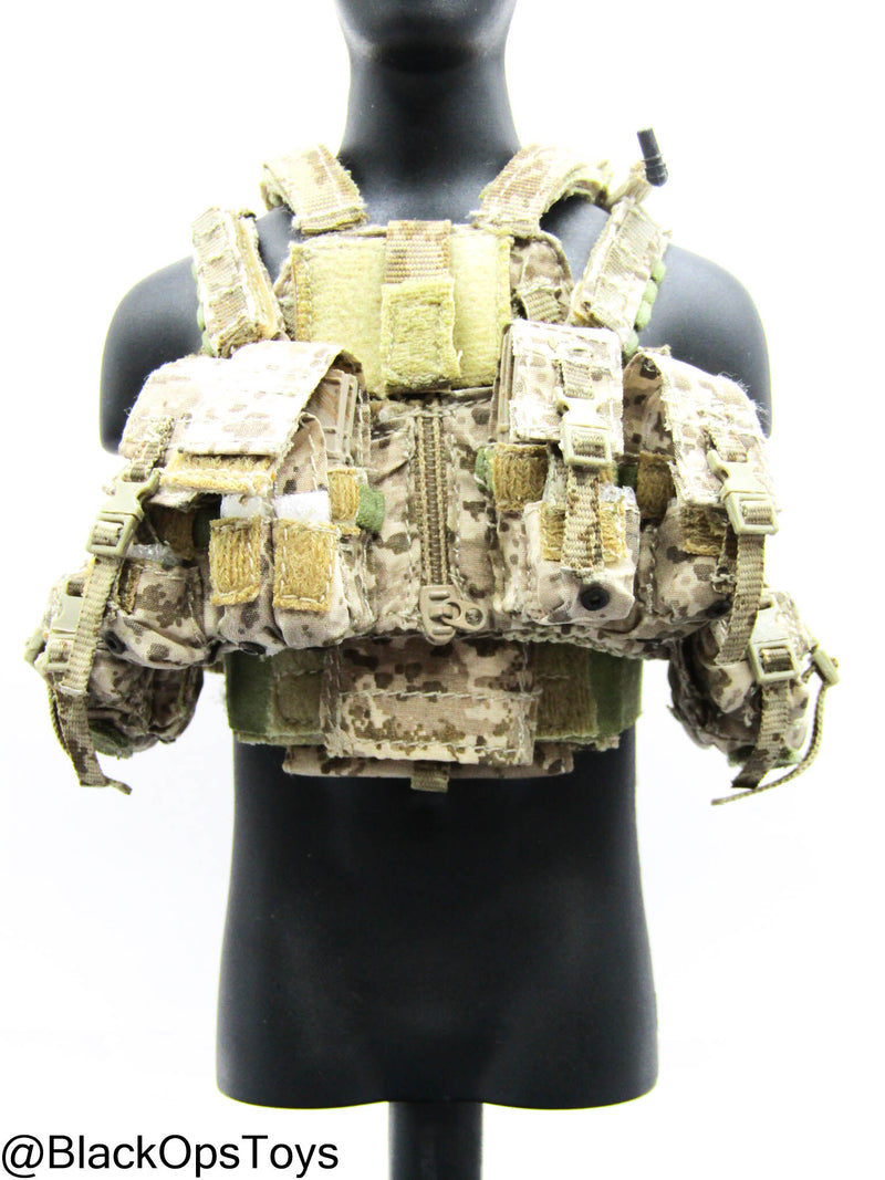Load image into Gallery viewer, Custom Pro Built - Preacher AOR-1 Camo Plate Carrier &amp; Chest Rig
