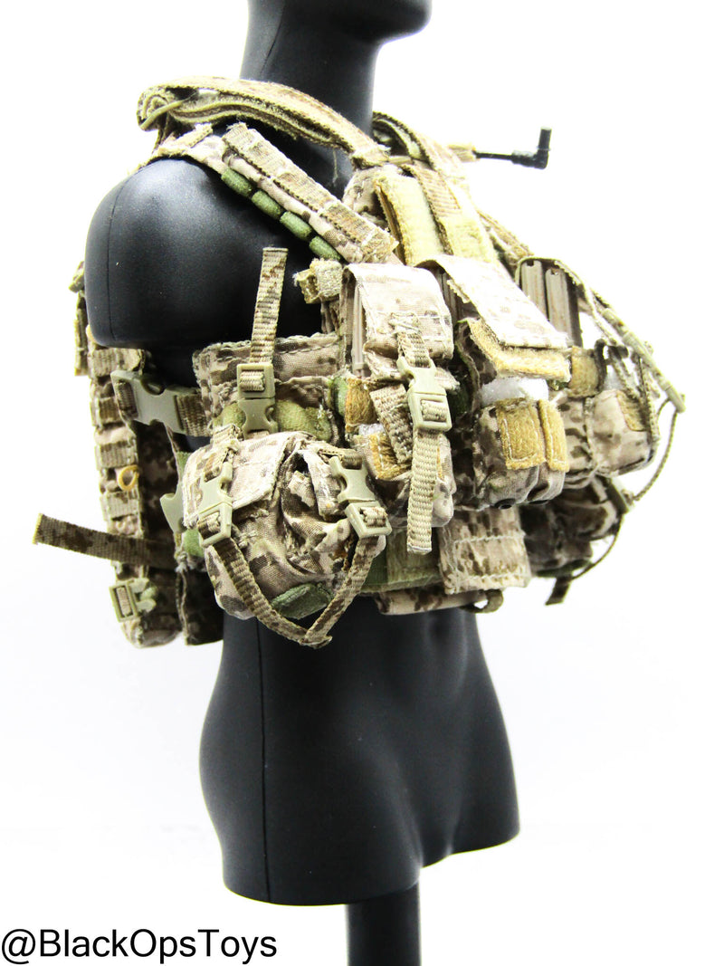Load image into Gallery viewer, Custom Pro Built - Preacher AOR-1 Camo Plate Carrier &amp; Chest Rig
