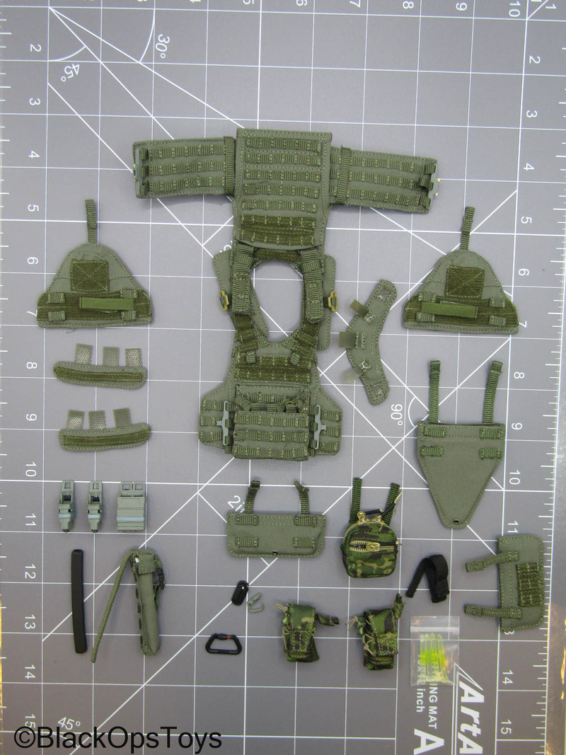 Load image into Gallery viewer, SDU Assault Team - OD Green ARMIS MOLLE Plate Carrier Set
