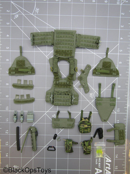 SDU Assault Team - OD Green ARMIS MOLLE Plate Carrier Set