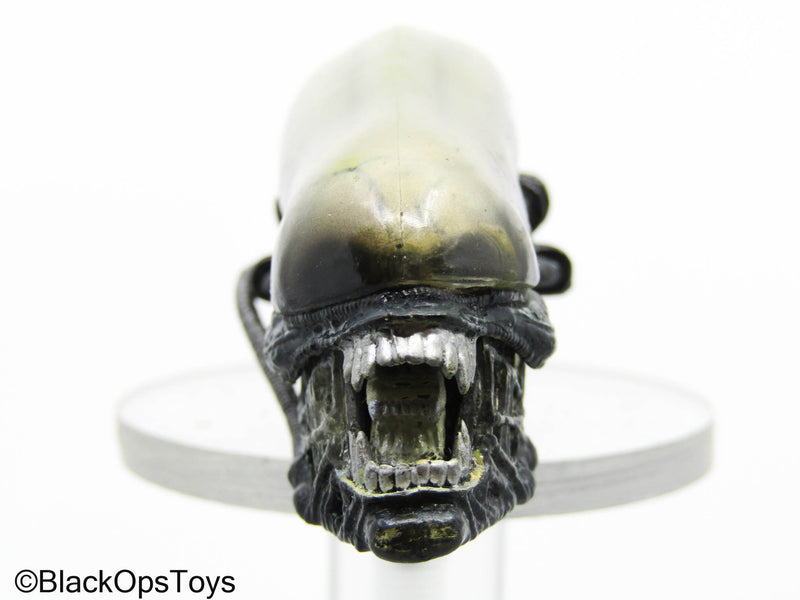 Load image into Gallery viewer, Alien Xenomorph Headsculpt (Hot Toys)
