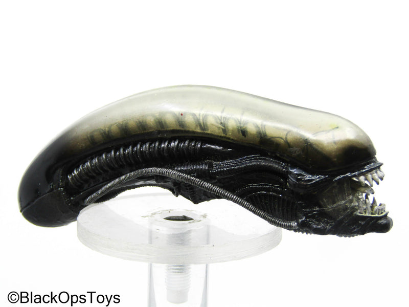 Load image into Gallery viewer, Alien Xenomorph Headsculpt (Hot Toys)
