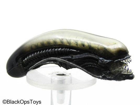 Alien Xenomorph Headsculpt (Hot Toys)