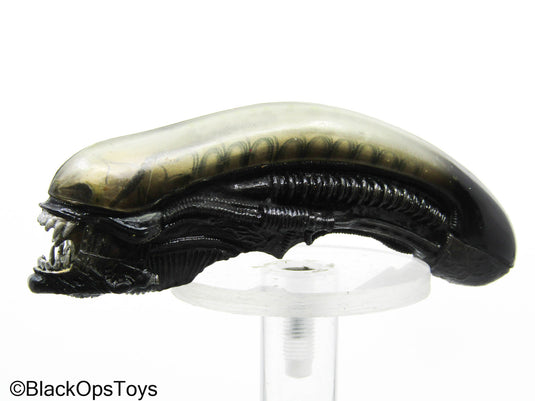 Alien Xenomorph Headsculpt (Hot Toys)