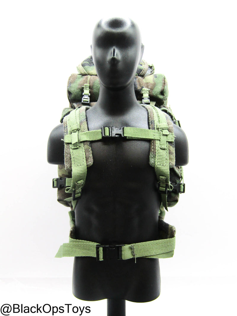 Load image into Gallery viewer, Bam 1/6 Woodland Camo Backpack (Dragon)
