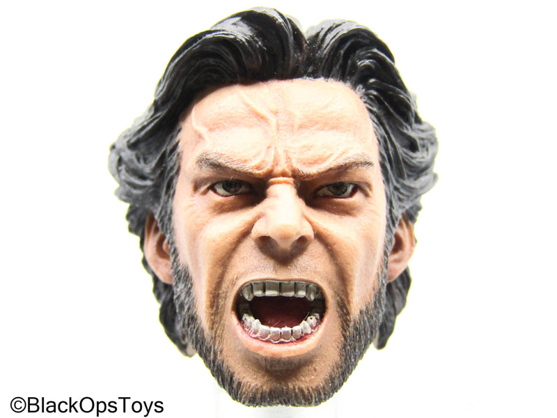 Load image into Gallery viewer, Wolverine - Male Headsculpt

