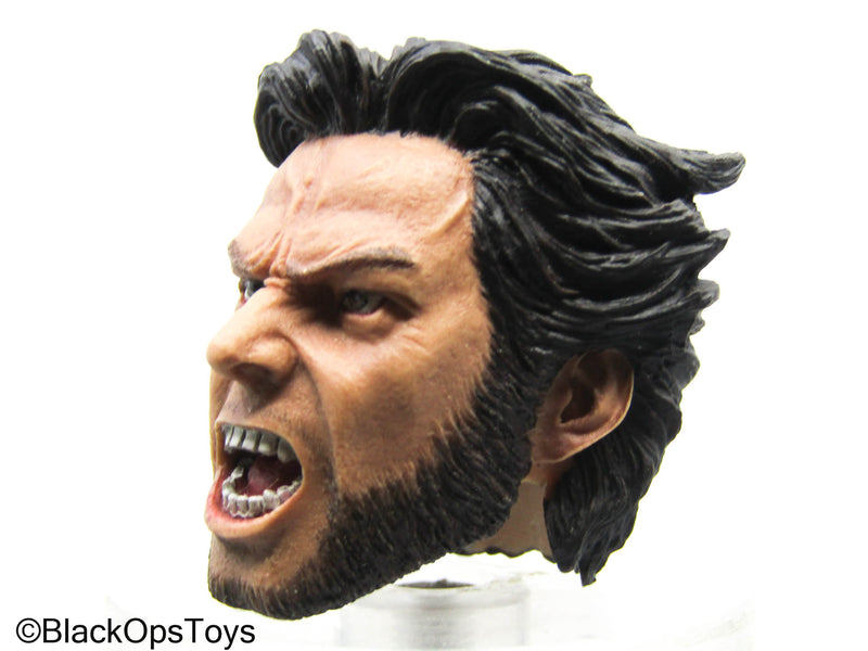Load image into Gallery viewer, Wolverine - Male Headsculpt
