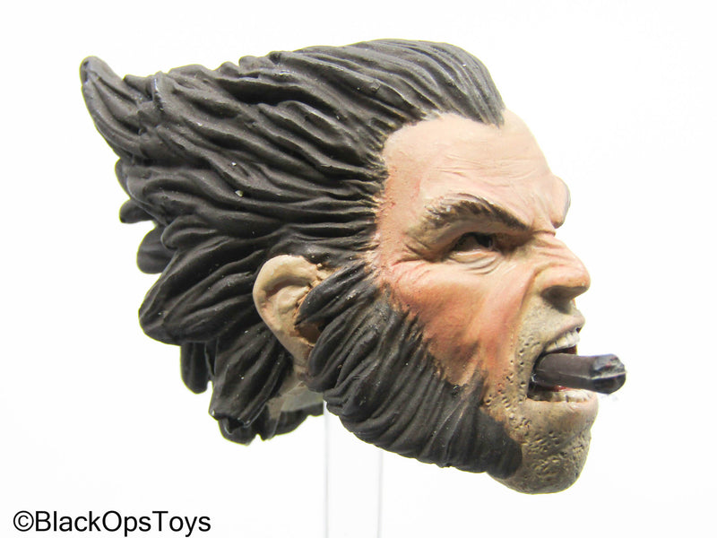 Load image into Gallery viewer, Wolverine - Male Headsculpt
