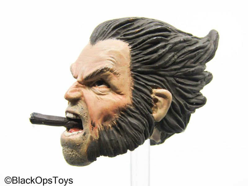 Load image into Gallery viewer, Wolverine - Male Headsculpt
