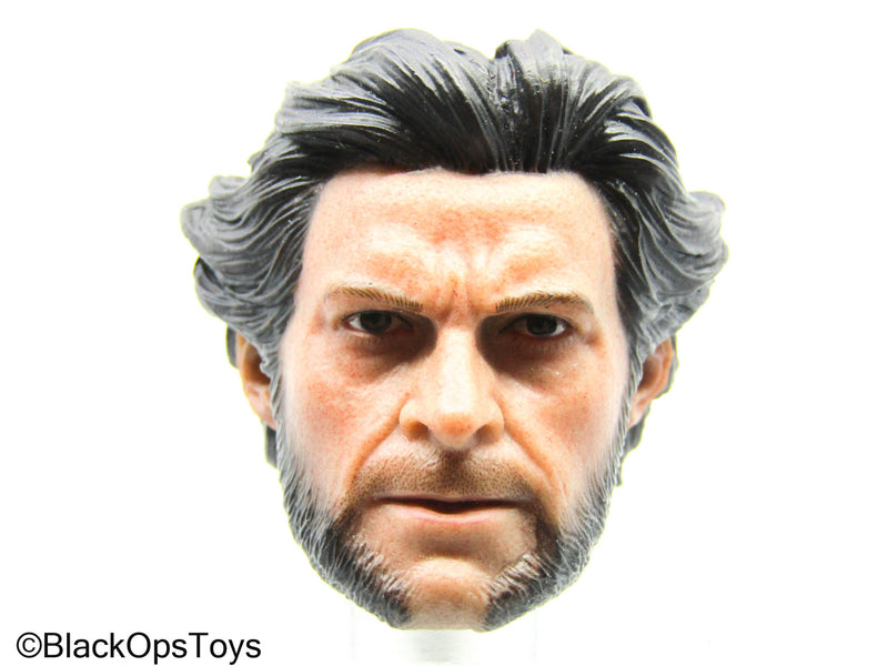 Load image into Gallery viewer, Wolverine - Male Headsculpt (Hot Toys)
