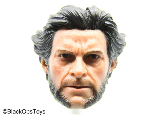 Wolverine - Male Headsculpt (Hot Toys)