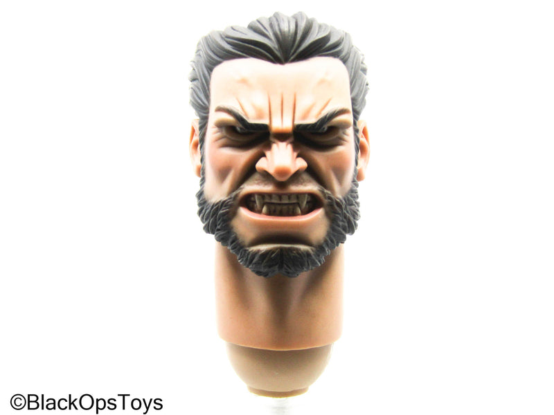 Load image into Gallery viewer, Wolverine - Male Headsculpt
