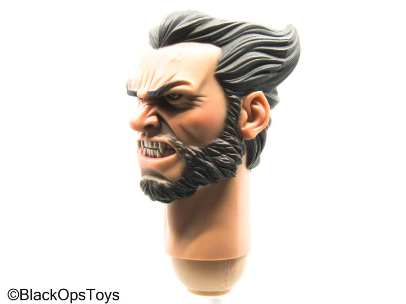 Load image into Gallery viewer, Wolverine - Male Headsculpt
