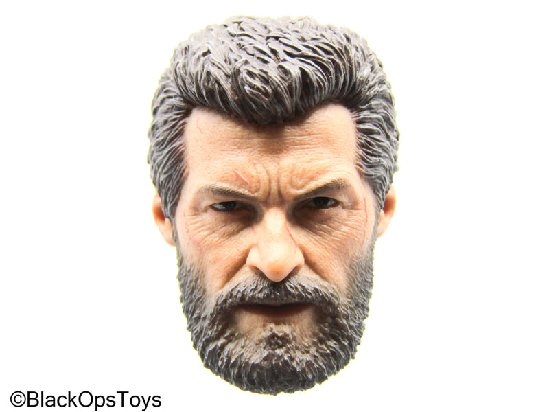 Load image into Gallery viewer, Wolverine - Male Headsculpt
