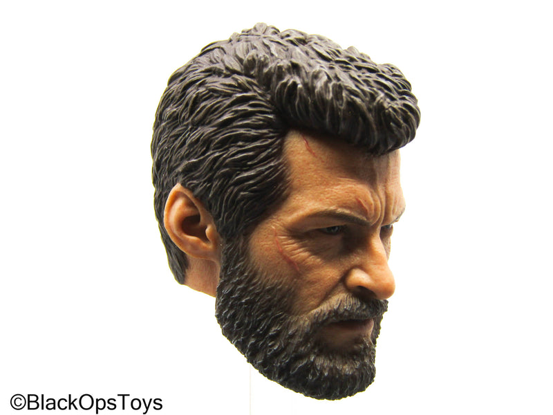 Load image into Gallery viewer, Wolverine - Male Headsculpt

