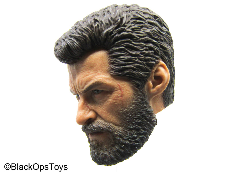 Load image into Gallery viewer, Wolverine - Male Headsculpt

