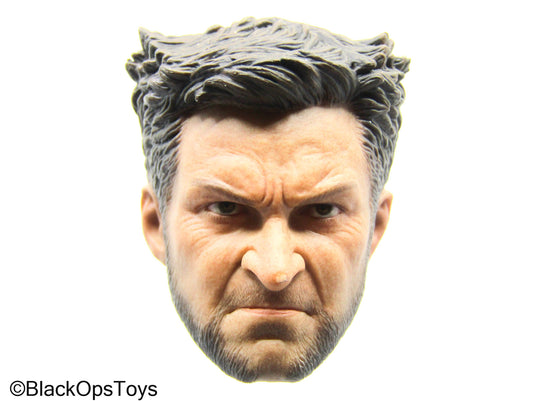 Wolverine - Male Headsculpt (READ DESC)