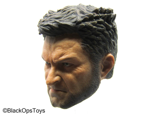Wolverine - Male Headsculpt (READ DESC)