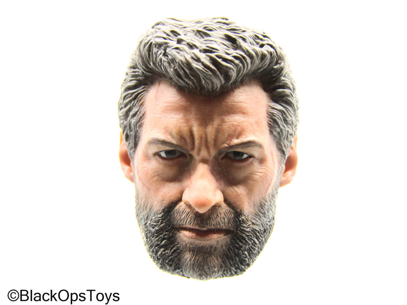 Load image into Gallery viewer, Wolverine - Male Headsculpt

