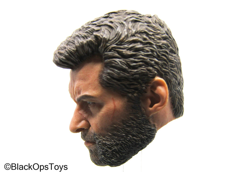 Load image into Gallery viewer, Wolverine - Male Headsculpt
