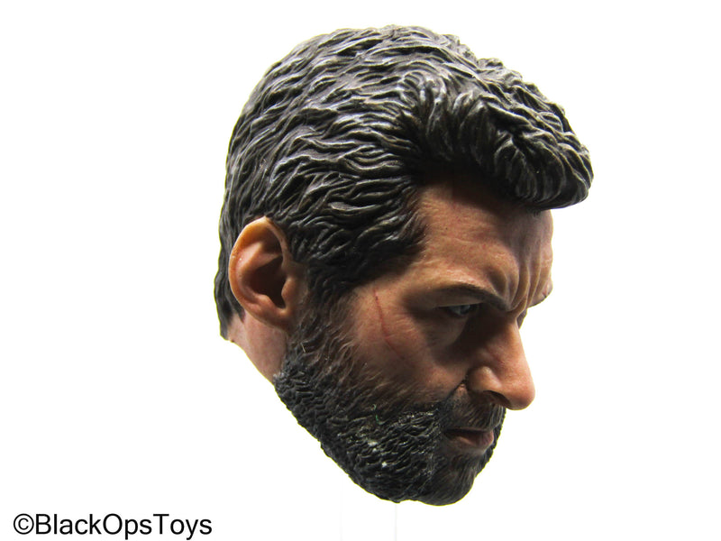 Load image into Gallery viewer, Wolverine - Male Headsculpt
