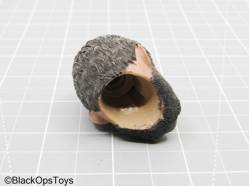 Load image into Gallery viewer, Wolverine - Male Headsculpt
