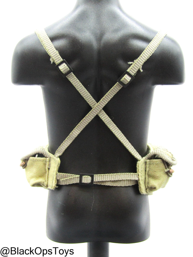 Load image into Gallery viewer, Vietnam Team Leader - Tan Chest Rig
