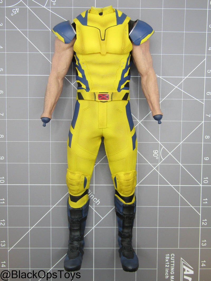 Load image into Gallery viewer, Wolverine - Male Dressed Body
