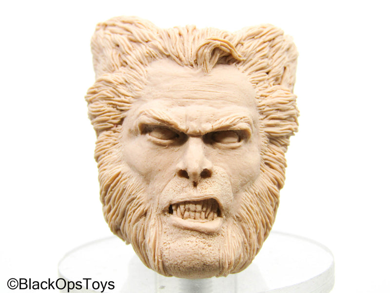 Load image into Gallery viewer, Custom Unpainted Male Headsculpt In Wolverine Likeness
